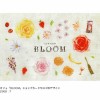 cafe「BLOOM」